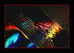 фото "Water reflection"