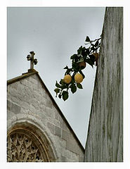 фото "Santarem"
