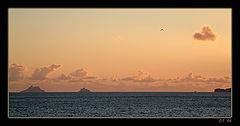 фото "silhouettes"