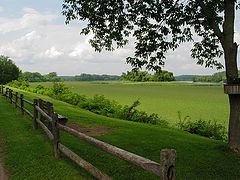 photo "Green River"