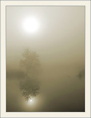 photo "Two Suns"