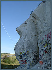 photo "A profile"