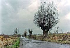 фото "###"