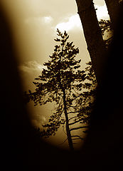 фото "E-02"