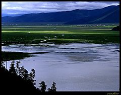 фото "Grassland"