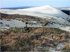 photo "Dunes"
