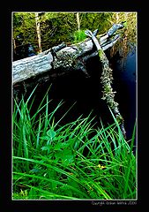 photo "**)(**"