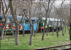 photo "Fairy train"