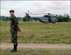 photo "On duty"