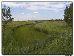 photo "Sight from a roadside #2"