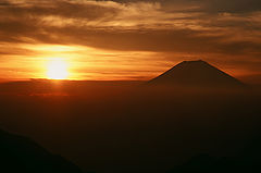 фото "Orange Fuji"