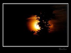 фото "I`ll be back with a new tomorrow..."