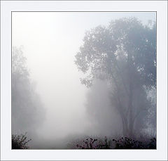 photo "Fog Today"