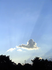photo "Light"