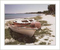 photo "The middle of day."