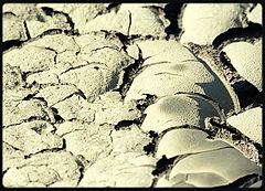 фото "mud"