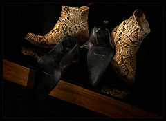 фото "Zmey -4"