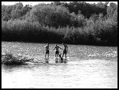фото "3+1"