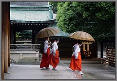 photo "rainy walk"