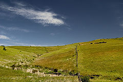 photo "OK Corral"