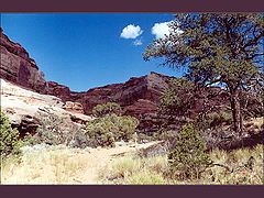 фото "Американские пейзажи (2)"