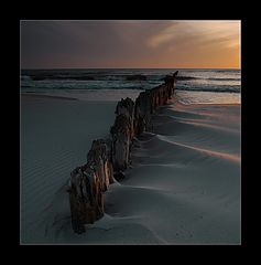 photo "my sea"