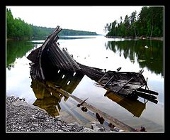 фото "Unsurvivor #2"
