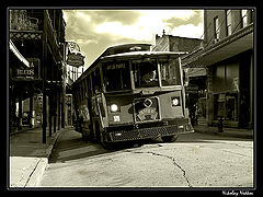 photo "Untitled photo"