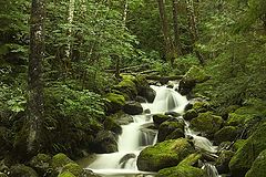 photo "Bitter Creek"