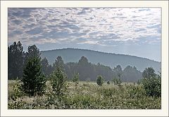 photo "***"