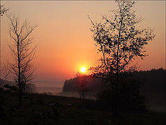 фото "It was simple  morning..."