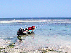фото "Boat"