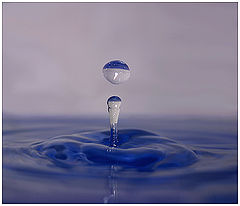 фото "falling water"