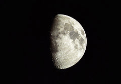 photo "Moon"