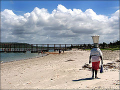 photo "Walking"