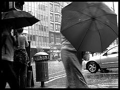 photo "rainy day"