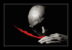 photo "Expressiveness - Version #2"