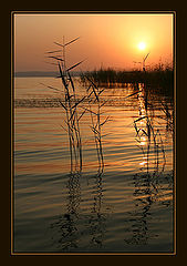 photo "Reflexs of an early morning"