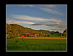 photo "Lumiere douce du soir"