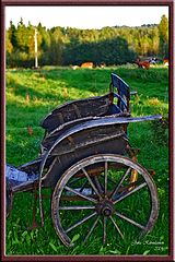 фото "Cart & Pasture"