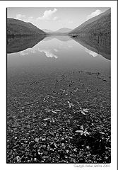photo "B&W Lake_1"