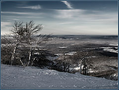 photo "Melancholy"