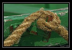 фото "... rope .."