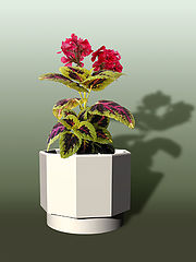 фото "vase virtual"