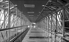 photo "Going home"