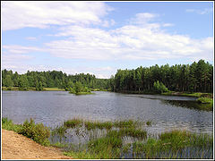 фото "Без названия"