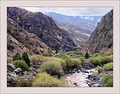 photo "Tajikistan. After rain."
