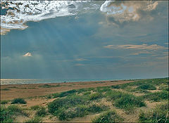 photo "Thunderstorm leaves"
