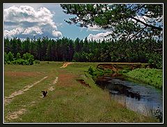 фото "Красивый пейзаж с рекой, лесом и бегущей собакой"