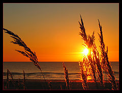 photo "To catch last beams"